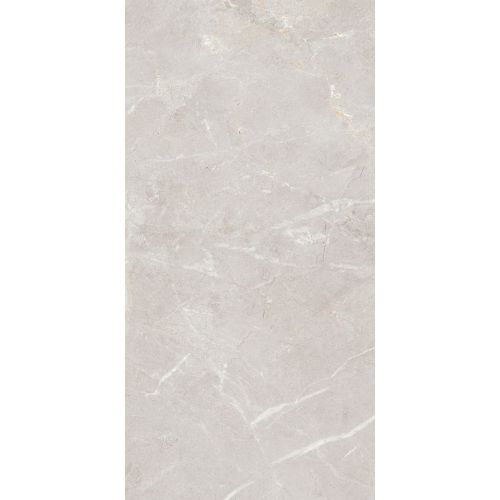 Arber Silver FP 600x1200x8 R Mat 1