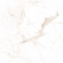 Alcora Gold F P 600x600x8 R Full Lappato 1