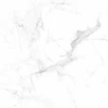 Alcora Grey F P 600x600x8 R Full Lappato 1