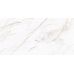 Antico Gold WM 308x608x8.5 NR Glossy 1