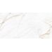 Antico Gold WM 308x608x8.5 NR Glossy 1