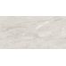 Bergamo Silver W M 308x608x8.5 NR Glossy 1
