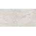 Bergamo Silver W M 308x608x8.5 NR Glossy 1