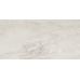 Bergamo Silver W M 308x608x8.5 NR Glossy 1