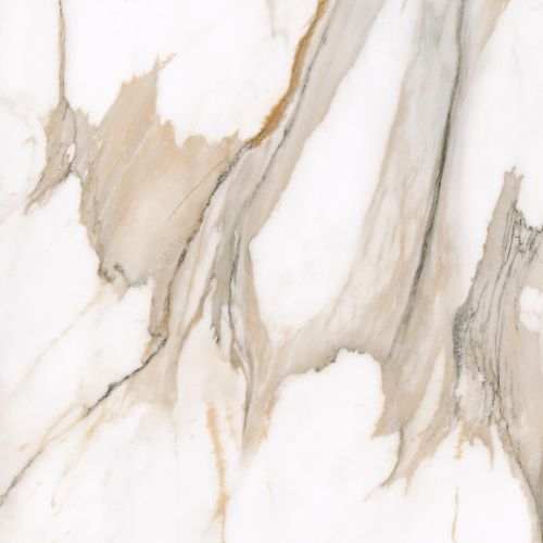 Calacatta Gold F P 600x600x8 R Full Lappato 1