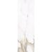 Calacatta Gold F P 300x900x8 R Satin 1