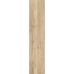 Canyon Beige F PR 300x1200x8 R Mat 1