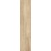 Canyon Beige F PR 300x1200x8 R Mat 1