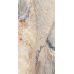 Flint Stone Gold F PC 600x1200x8 R Sugar 1