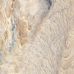Flint Stone Gold F PC 600x600x8 R Sugar 1