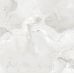 Itaka White F P 600x600x8 R Full Lappato 1