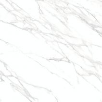 Lazzaro Pearl F P 600x600x8 R Full Lappato 1