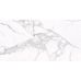 Montero White WM 308x608x8.5 NR Glossy 1
