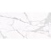 Montero White WM 308x608x8.5 NR Glossy 1