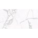 Montero White WM 308x608x8.5 NR Glossy 1