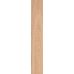 Natura Dark beige F PR 198x1200x8 R Mat 1