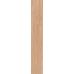 Natura Dark beige F PR 198x1200x8 R Mat 1