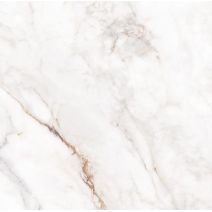 Palazzo White F P 600x600x8 R Full Lappato 1