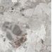 Pompei White F P 600x600x8 R Sumat 1