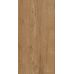 Rio Gold F PR 600x1200x8 R Mat