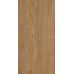 Rio Gold F PR 600x1200x8 R Mat