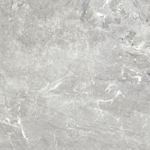 Snake stone Silver F PC 600x600x8 R Sugar 1