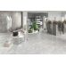 Snake stone Grey F PC 600x600x8 R Sugar 1