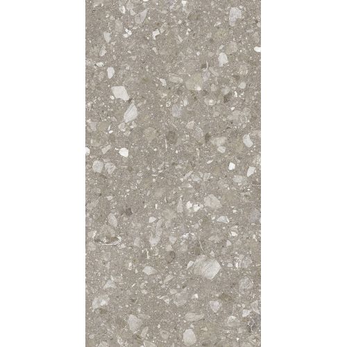 Terra Greige FP 600x1200x8 R Mat 1