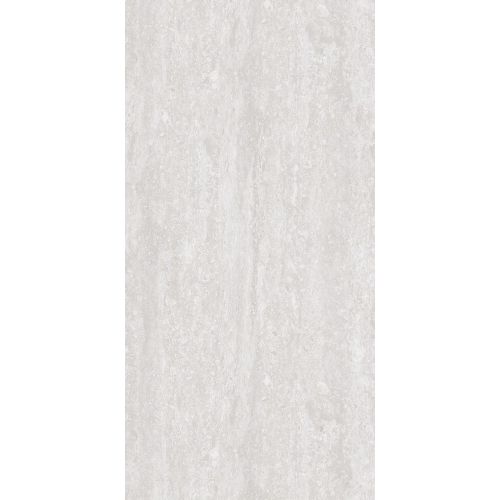 Treviso Silver FP 600x1200x8 R Mat 1