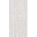 Treviso Silver FP 600x1200x8 R Mat 1