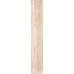 Sequoia Beige F PR 198x1200x8 R Mat 1