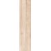 Sequoia Beige F PR 300x1200x8 R Mat 1