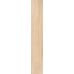 Madera Ivory F PR 198x1200x8 R Mat 1