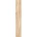 Madera Ivory F PR 198x1200x8 R Mat 1
