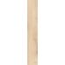 Madera Ivory F PR 198x1200x8 R Mat 1
