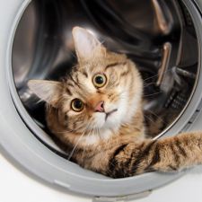 Секреты чистки стиральной машины: как избавиться от накипи и плесени